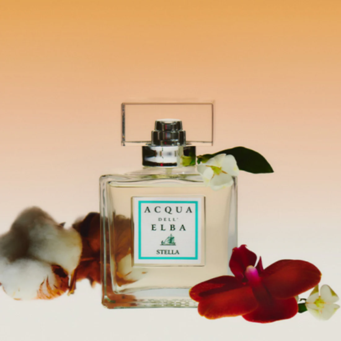 Stella Eau De Parfum - Image 7