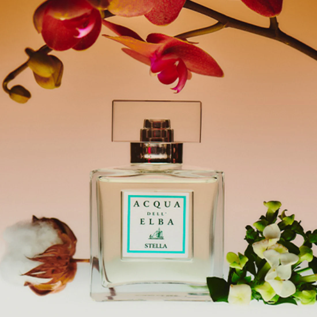 Stella Eau De Parfum - Image 8