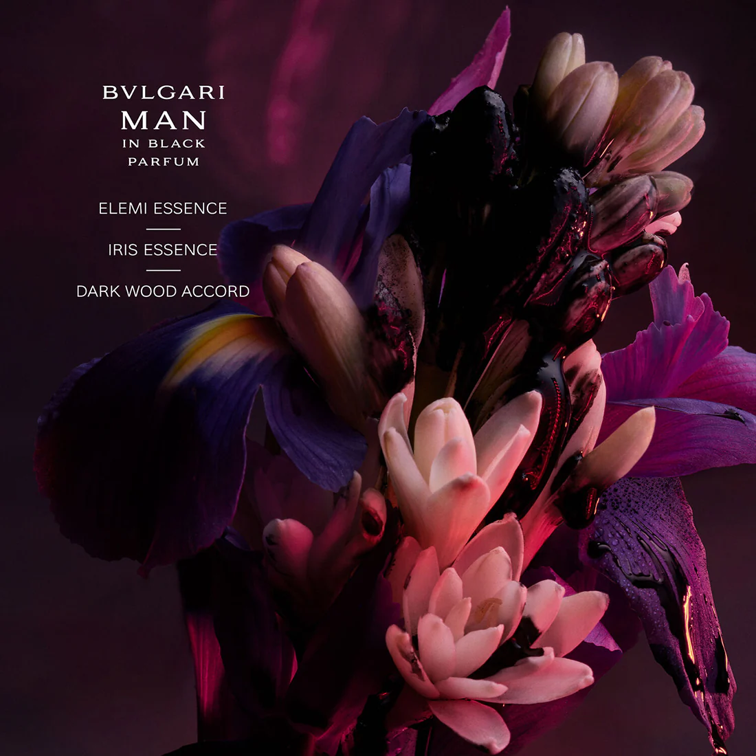 Man in Black Parfum - Image 11