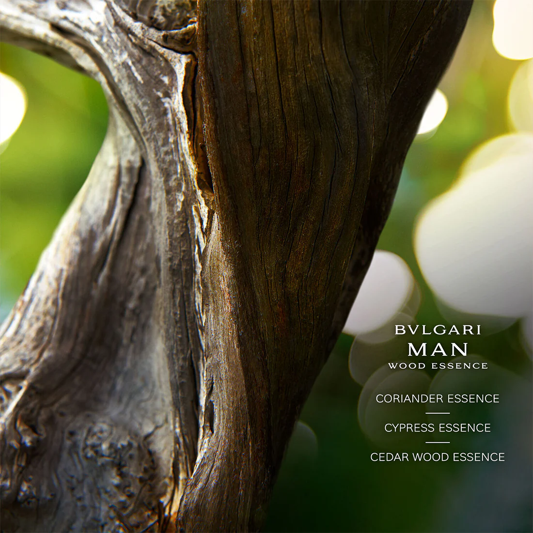 Man Wood Essence Eau De Parfum - Image 3