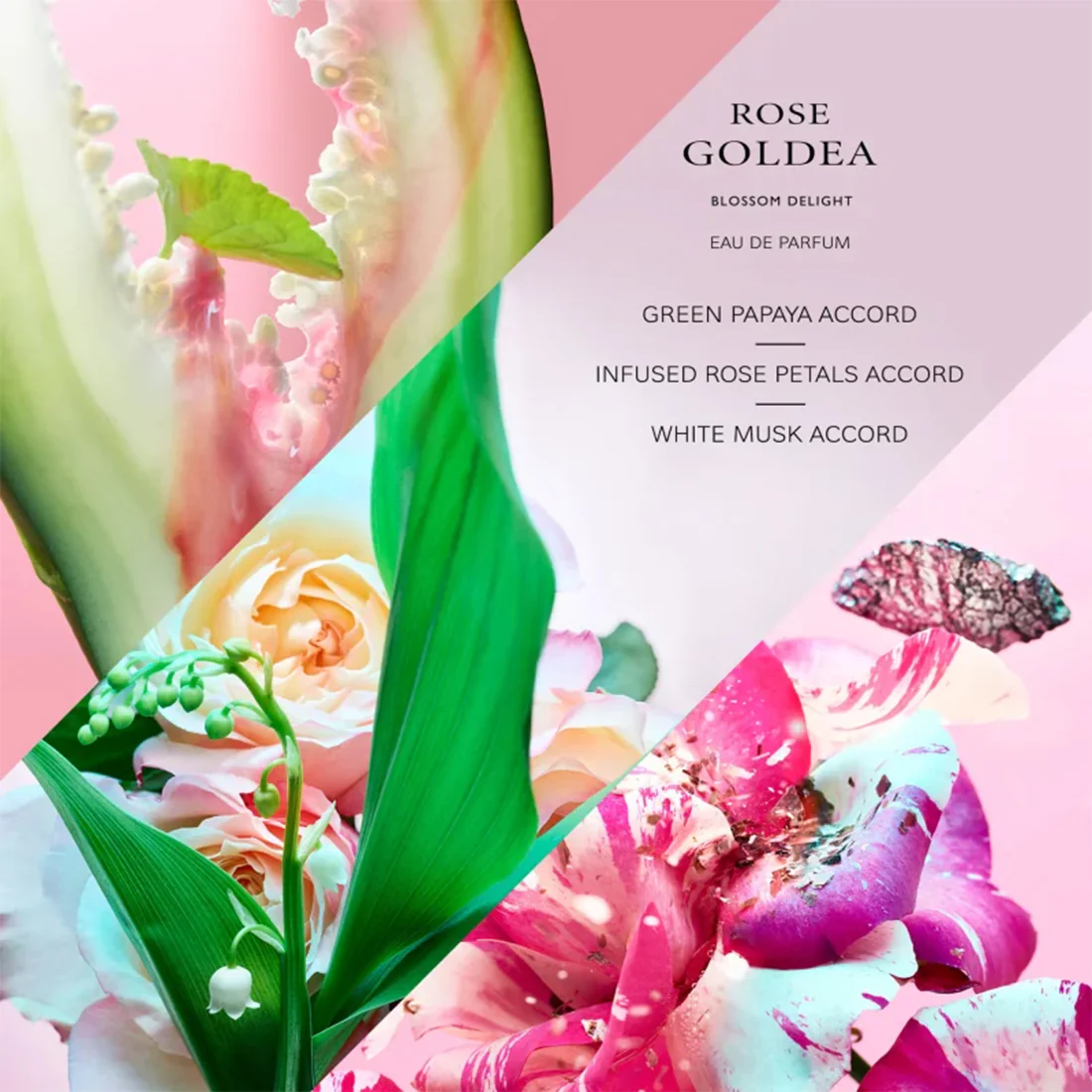 Rose Goldea Blossom Delight Eau De Parfum 30 ML - Image 11