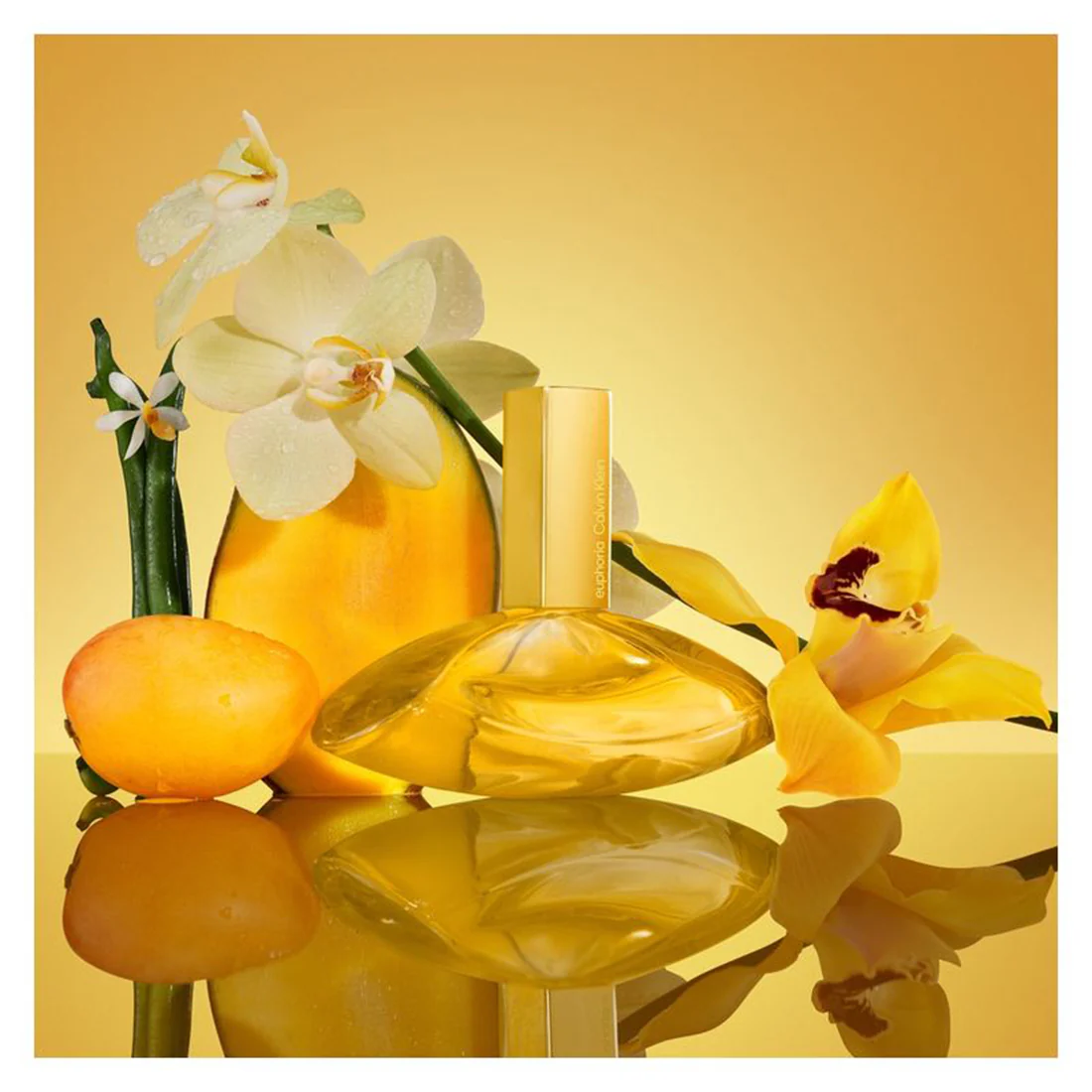 Euphoria Solar Elixir Parfum Intense - Image 9