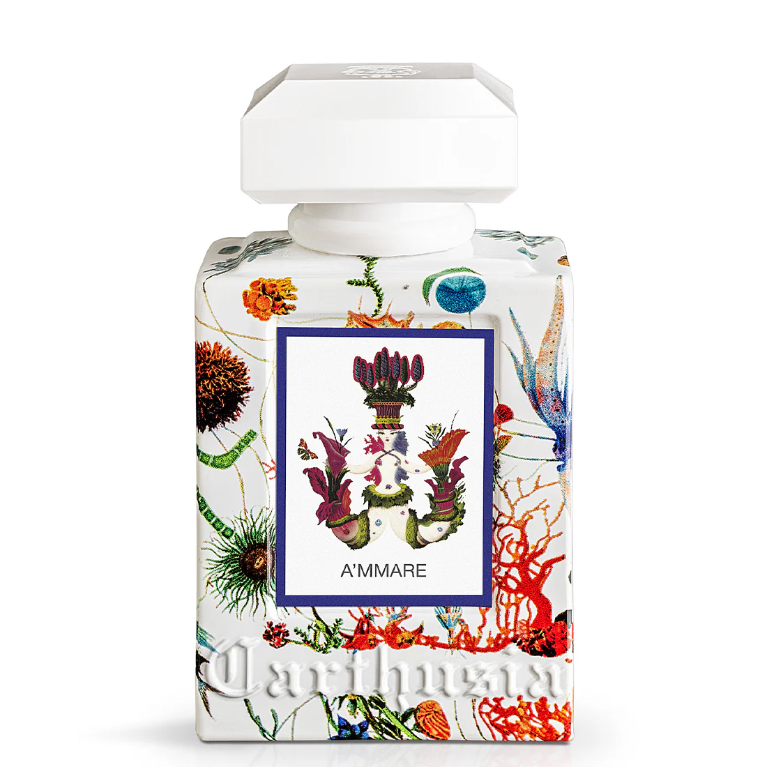Ammare Eau De Parfum - Image 4