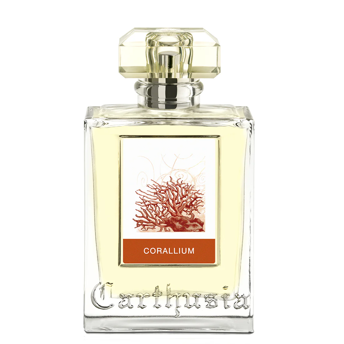Corallium Eau De Parfum - Image 5