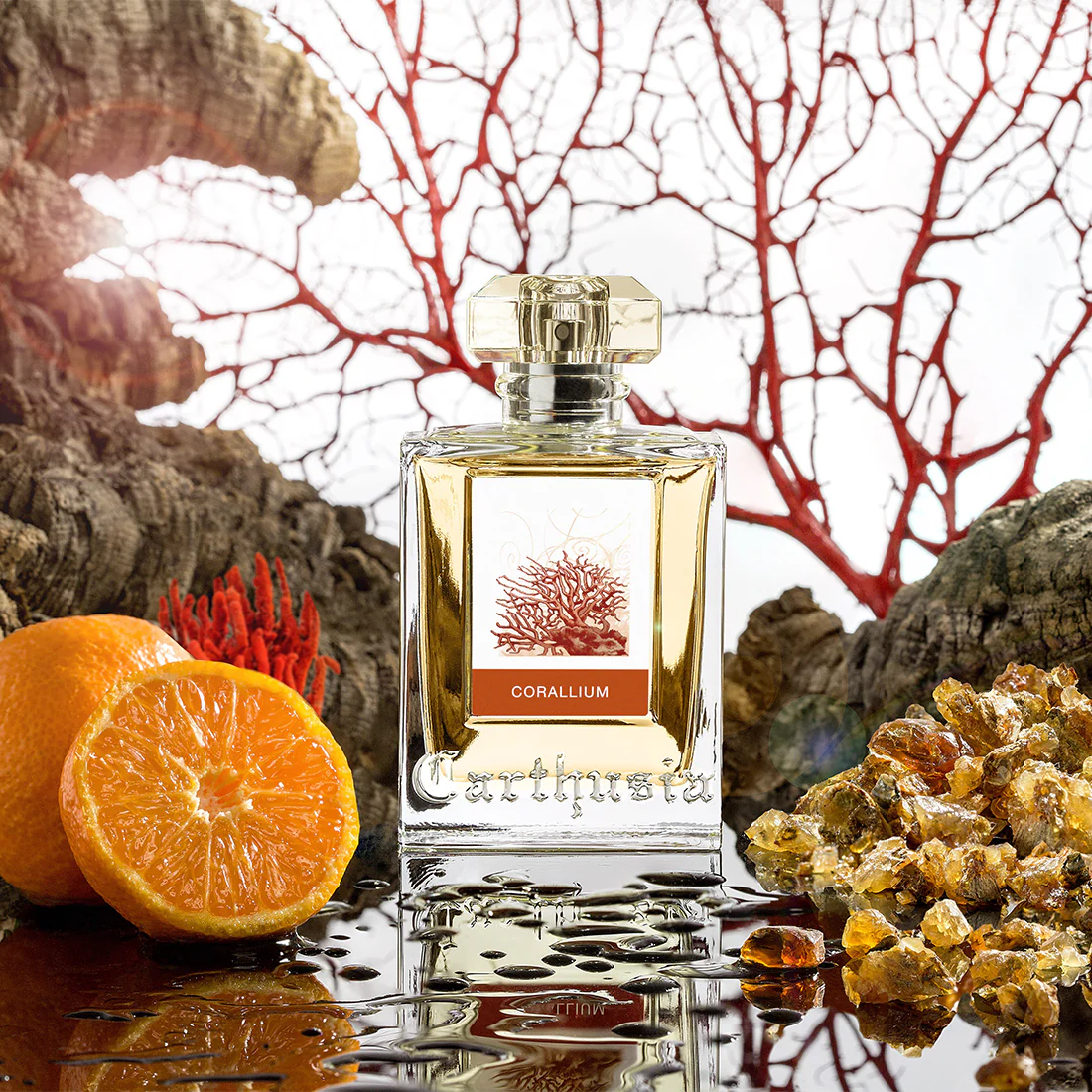 Corallium Eau De Parfum - Image 7