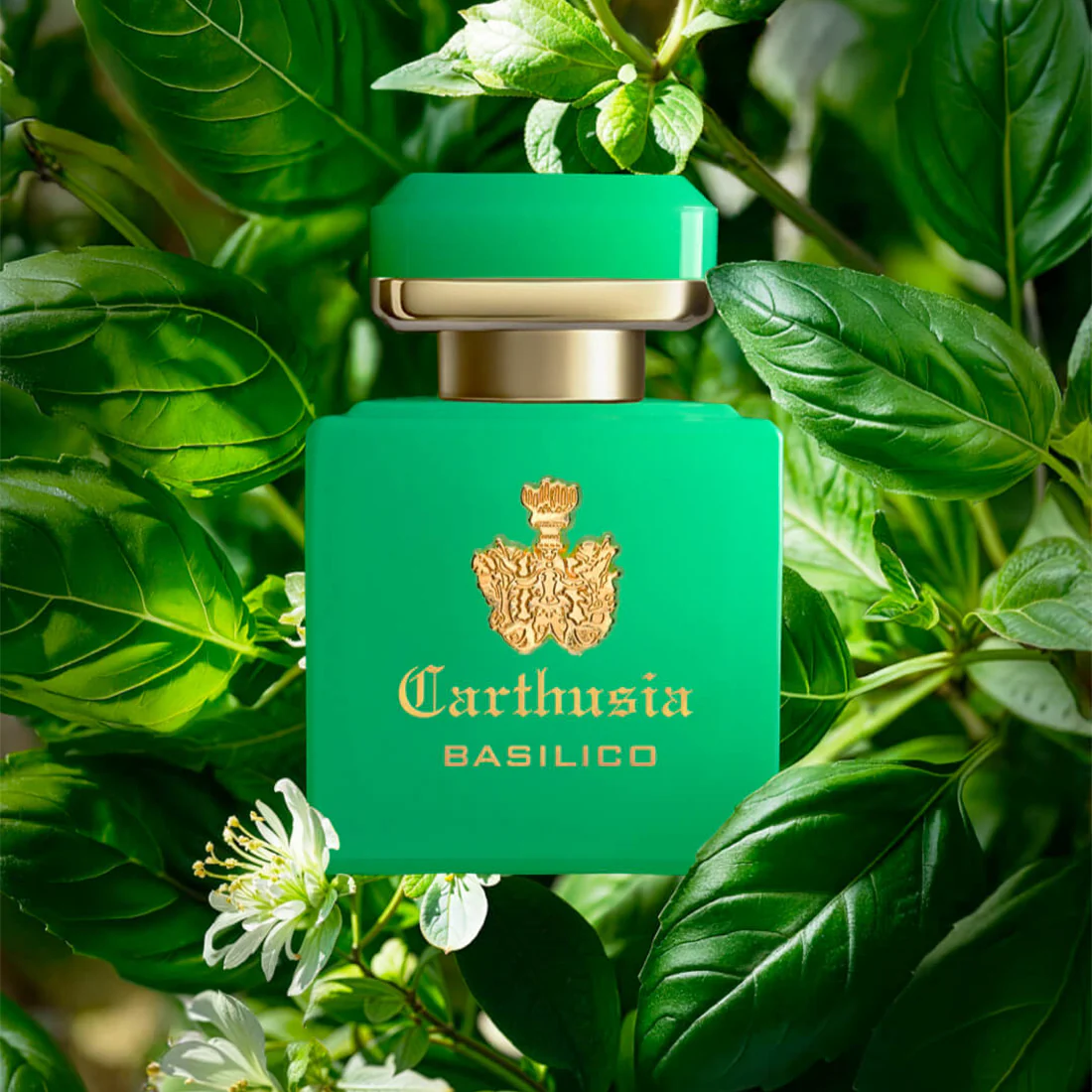 I profumi di Capri Intenso di Basilico - Image 3