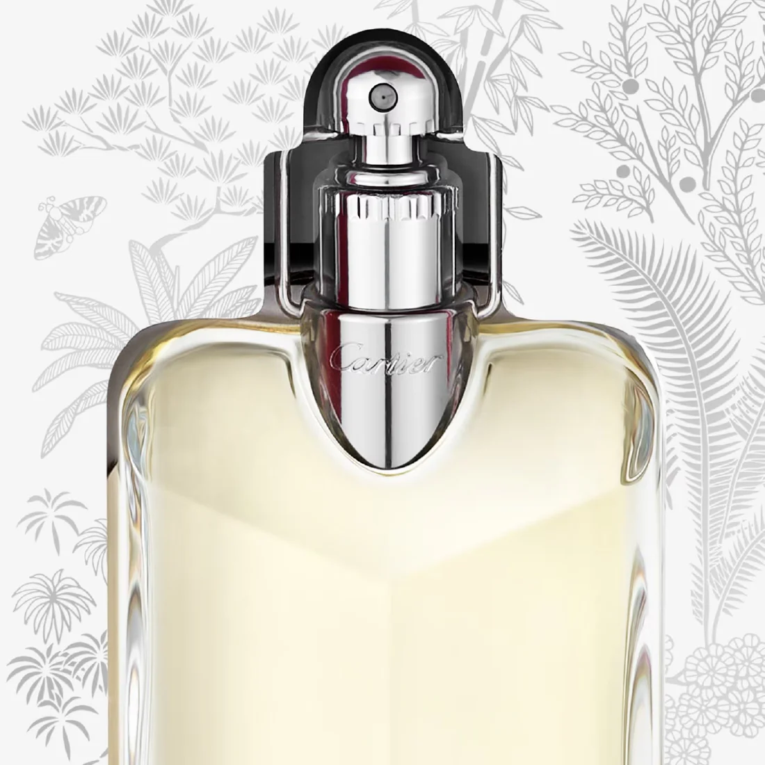 Cofanetto Declaration Eau De Toilette 100 ml - Image 2