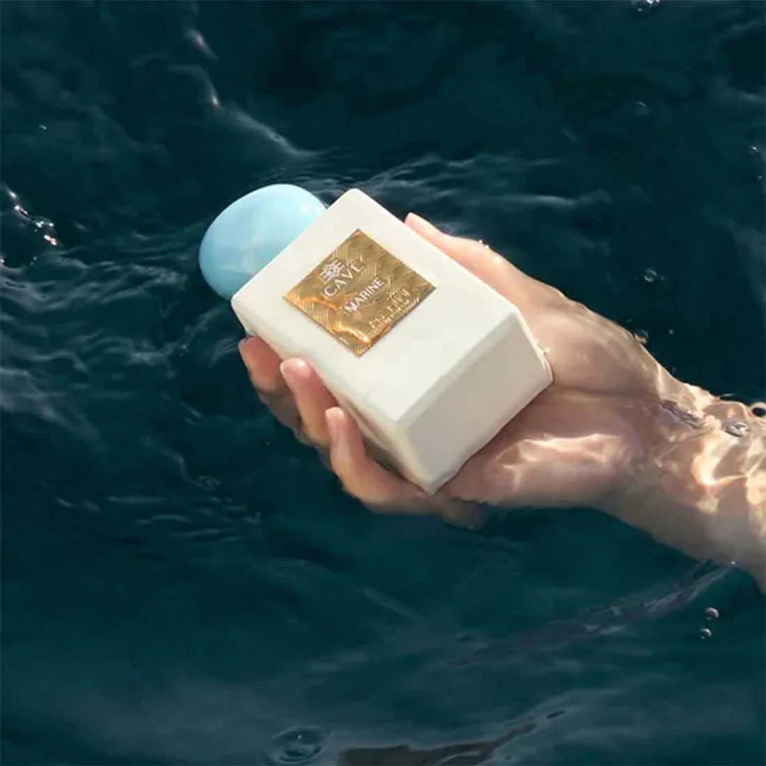 Marine - Image 3
