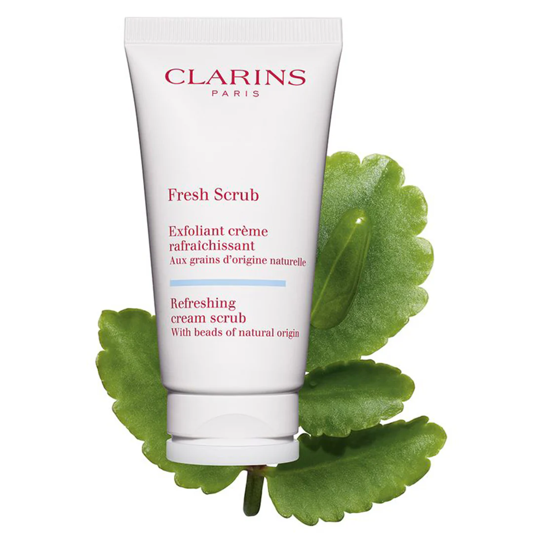 Fresh Scrub Exfoliant Creme Rafraichissant Crema Esfoliante - Image 2