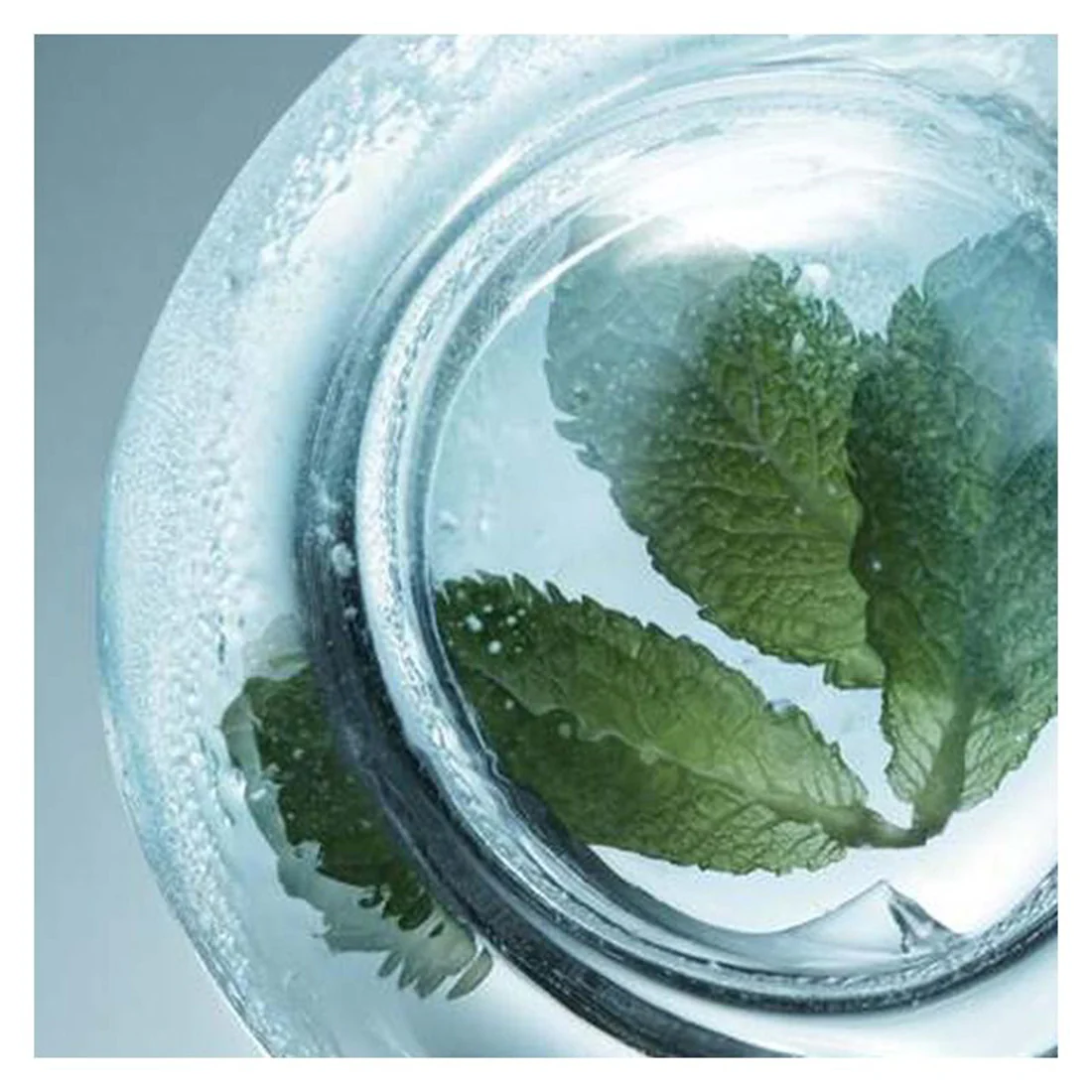 Lip Comfort Oil Huile à Lèvres Cryo-Repulpant - Image 6