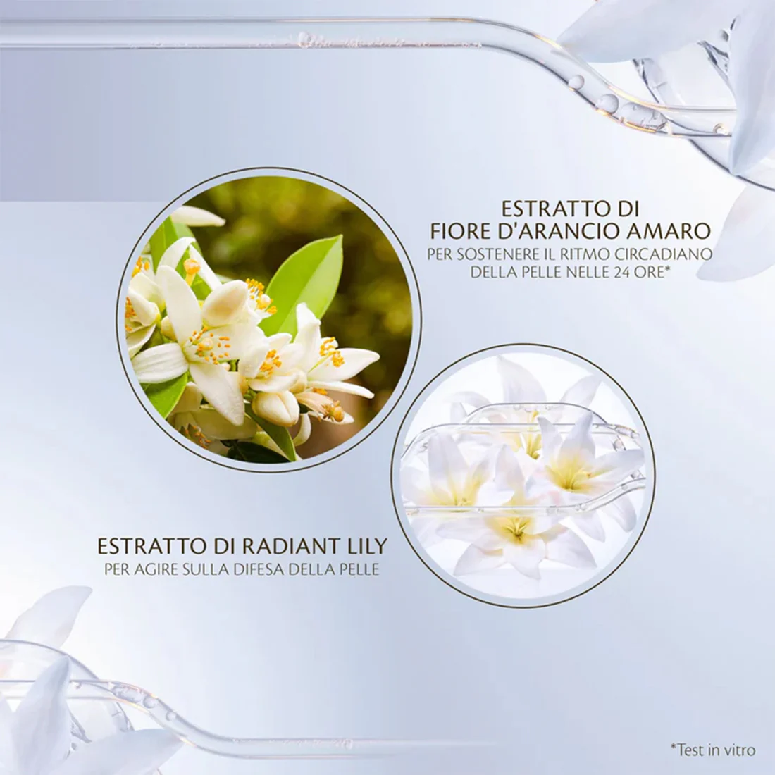 Key Radiance Care Intensive Night Emulsion Fluido viso primi segni - Image 4