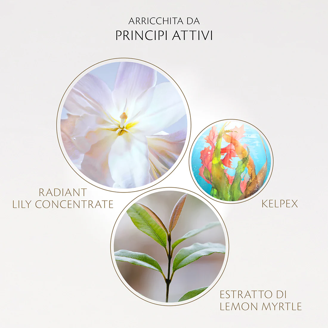 The Serum Siero Viso - Image 5