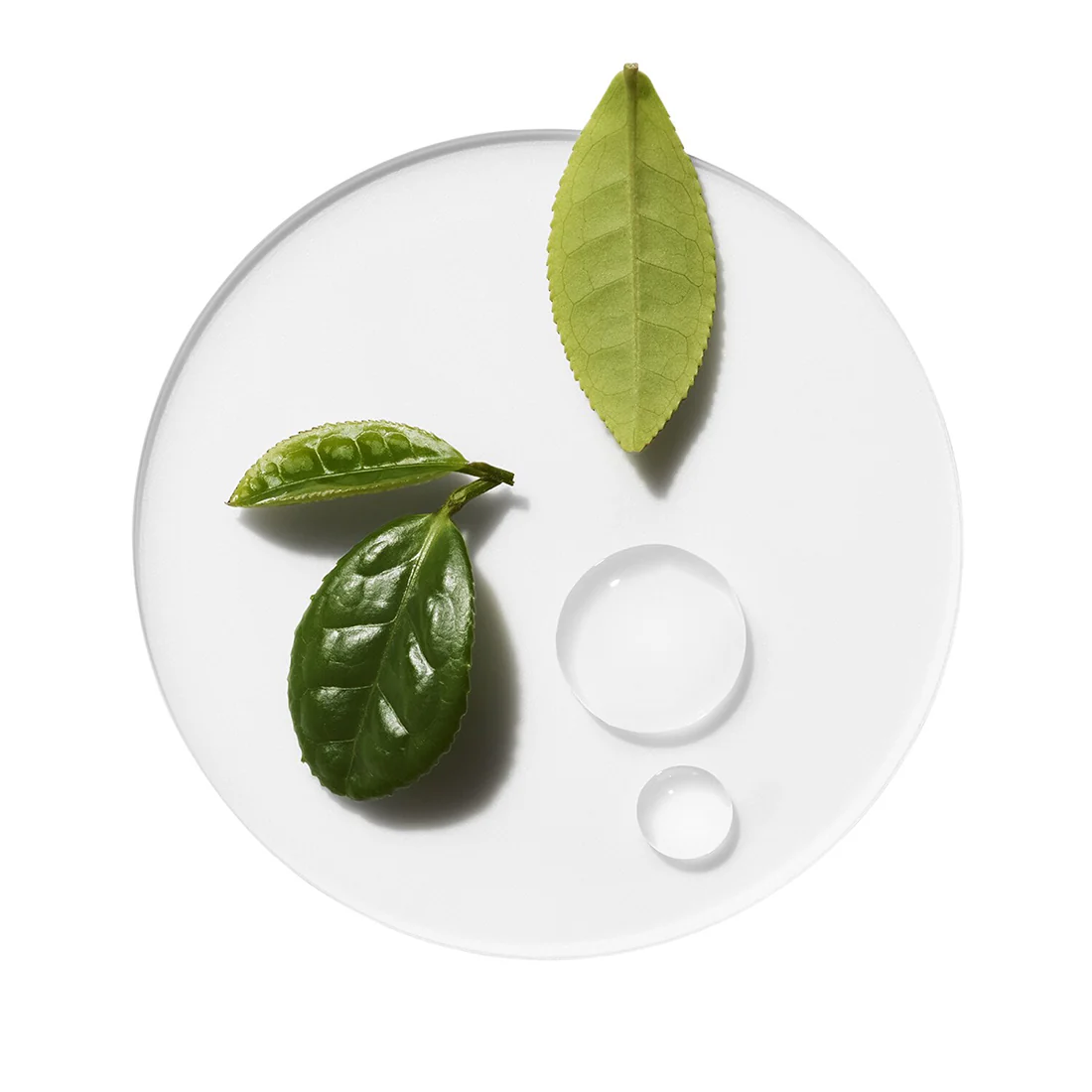Moisture Surge Overnight Mask Maschera Notte - Image 3