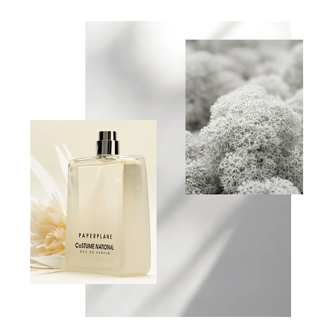 Paperplane Eau De Parfum - Image 9