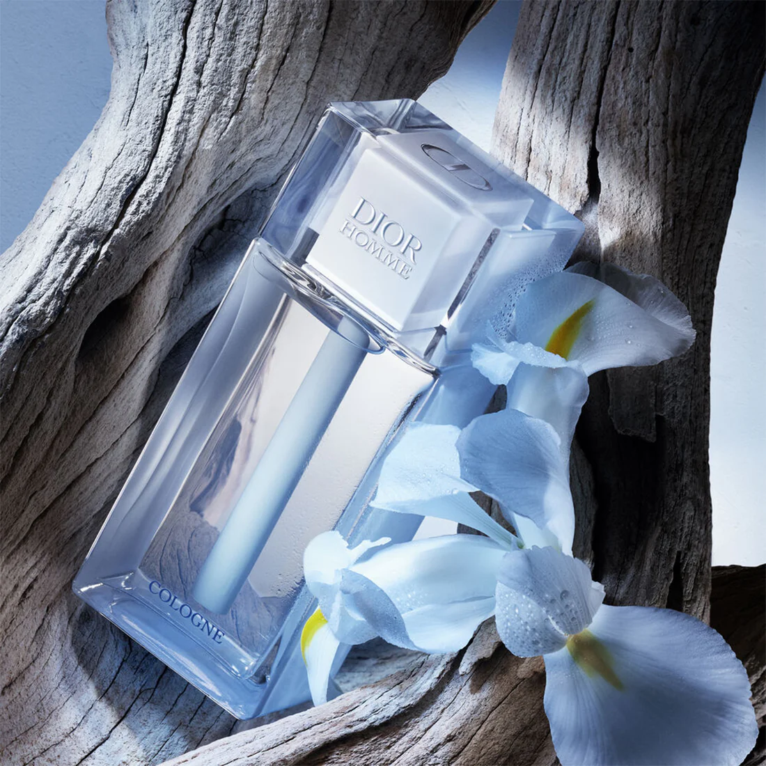 Dior Homme Cologne Eau de cologne – note fresche e muschiate - Image 11