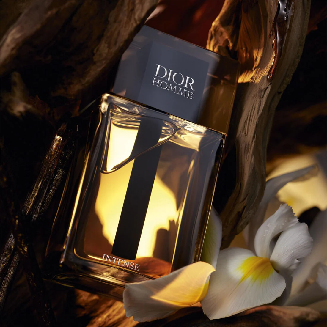 Dior Homme Intense Eau de parfum intense - Image 7
