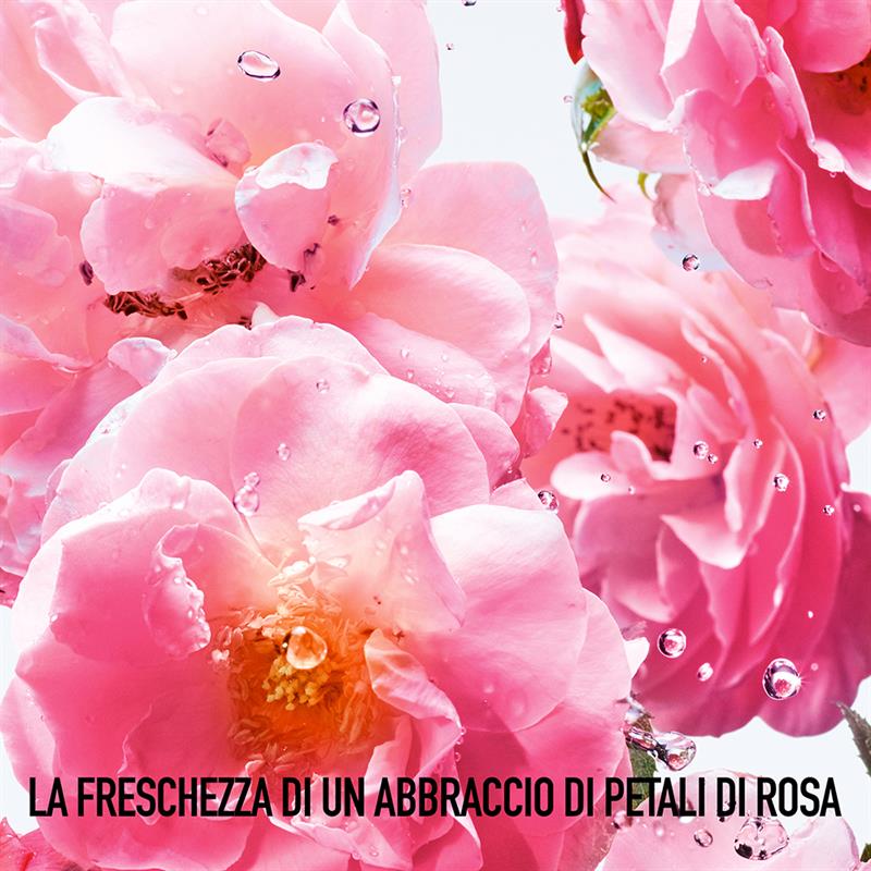 Miss Dior Rose N'roses Eau De Toilette - Image 11
