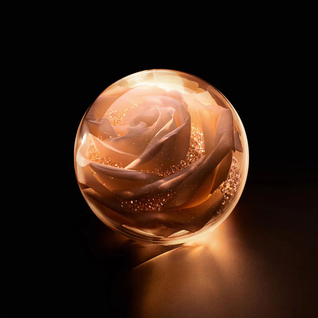 Prestige La Micro-Huile de Rose Activated Serum Siero micronutriente - Image 4