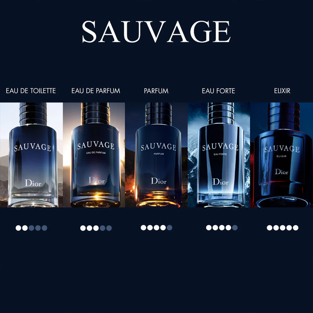 Sauvage Elixir - Image 4