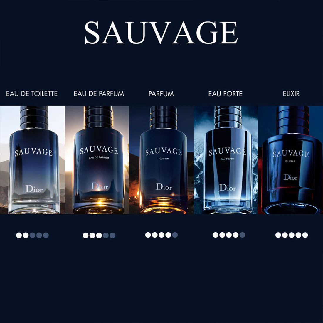 Sauvage Parfum - Image 19