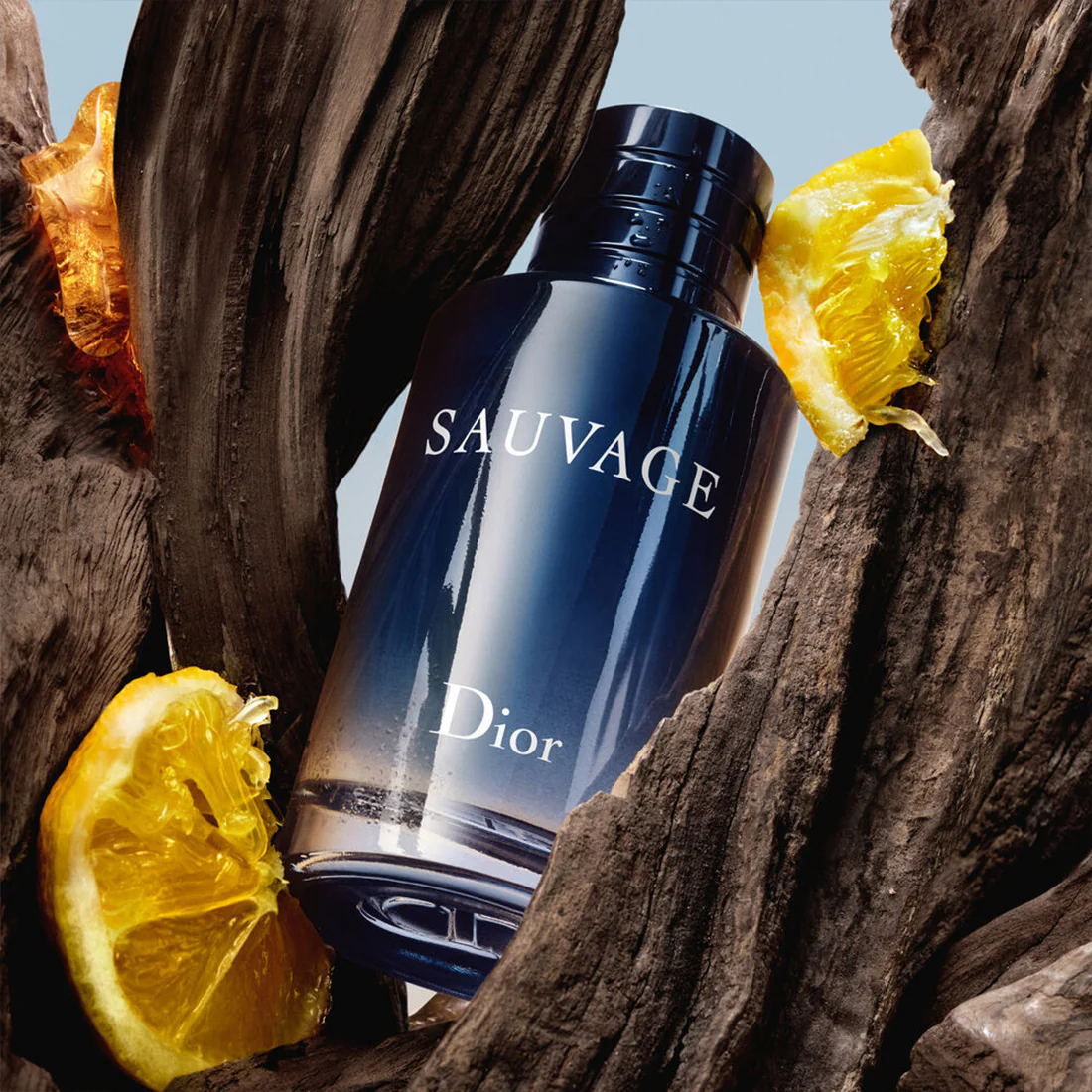 Sauvage Spray For The Wild – Eau de Toilette da 30 ml in edizione limitata - Image 3