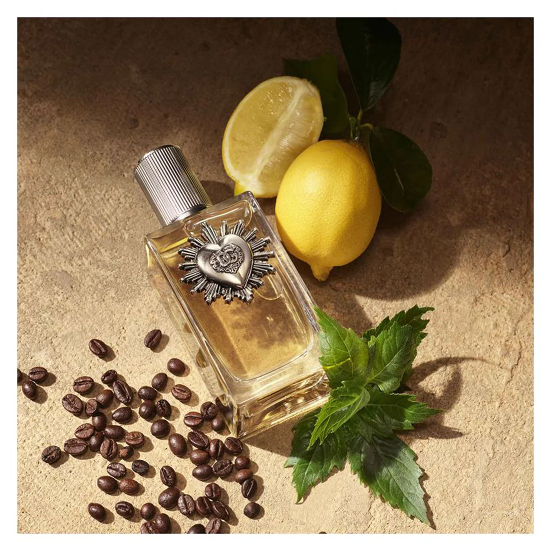 Devotion Pour Homme Eau De Parfum - Image 8