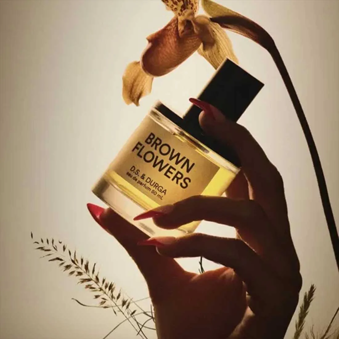 Brown Flowers Eau De Parfum - Image 3