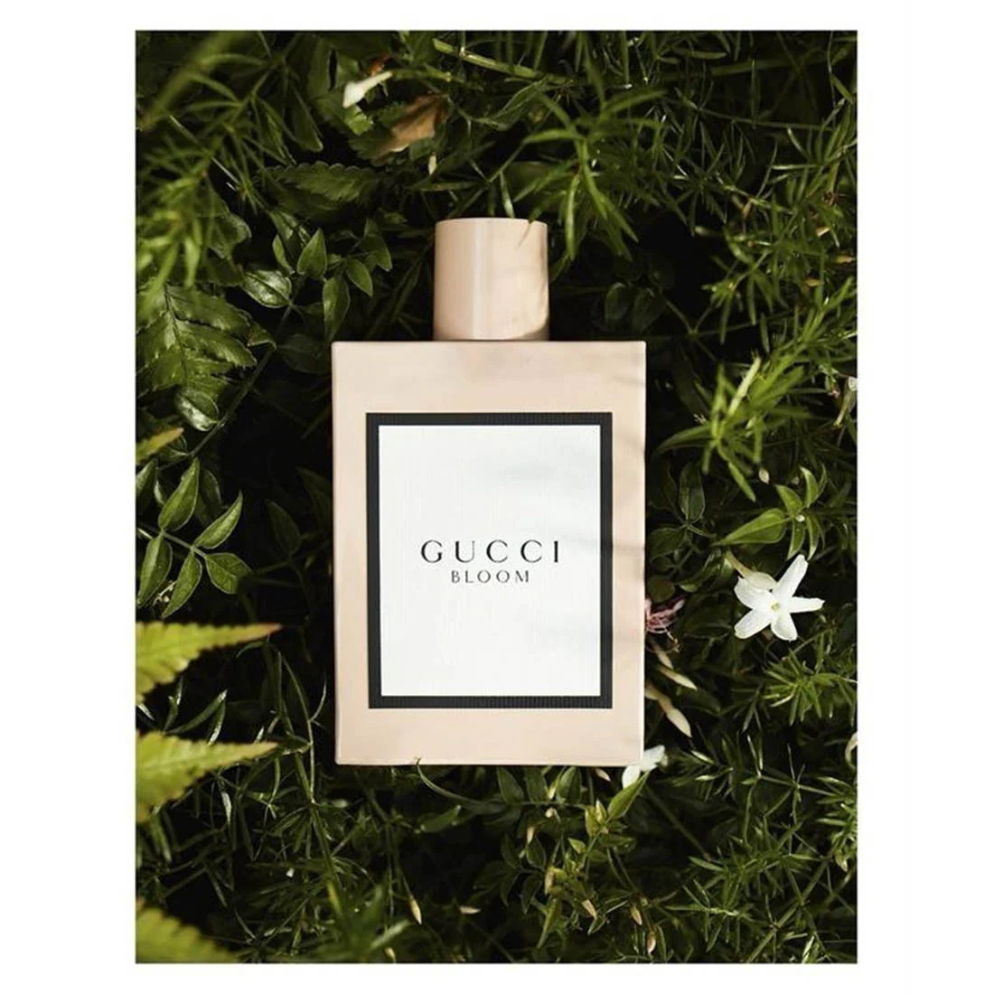 Bloom Eau De Parfum - Image 3