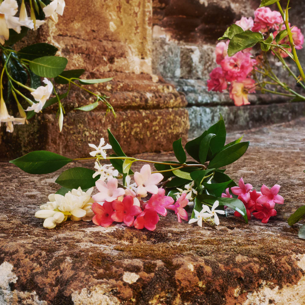 Bloom Eau De Toilette - Image 4