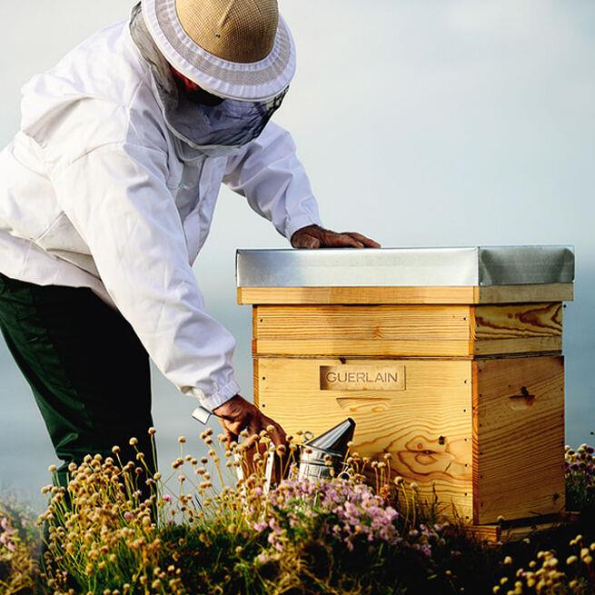 Abeille Royale Huile Demaquillante Anti-Pollution Olio Struccante - Image 4