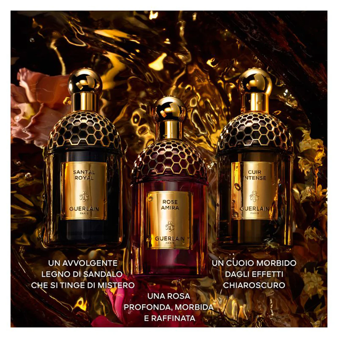 Absolu Allegoria Epices Exquises Eau De Parfum - Image 4