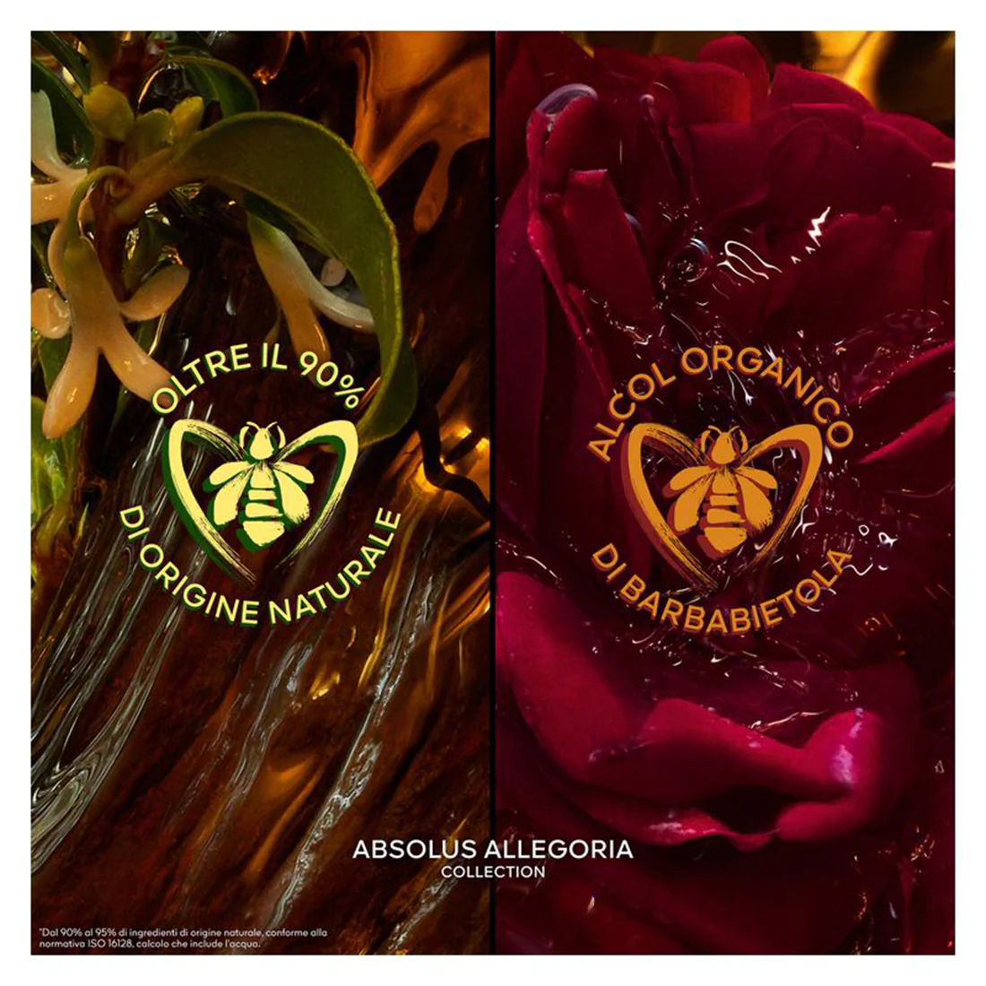 Absolus Allegoria Ambre Samar Vaporisateur - Image 5