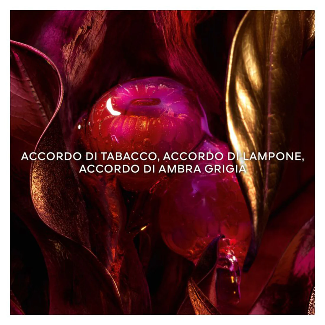 Absolus Allegoria Tabac Sahara Eau De Parfum - Image 10