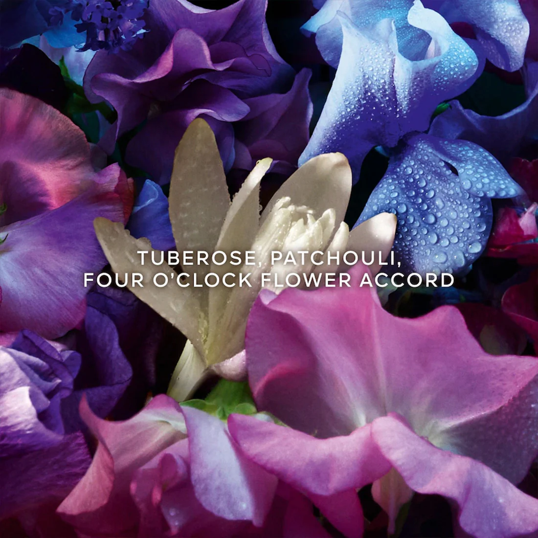 Aqua Allegoria Absolu Flora Bloom - Image 11