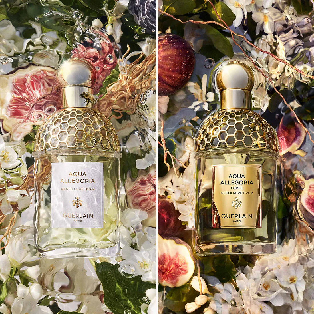 Aqua Allegoria Forte Nerolia Vetiver Eau De Parfum - Image 8