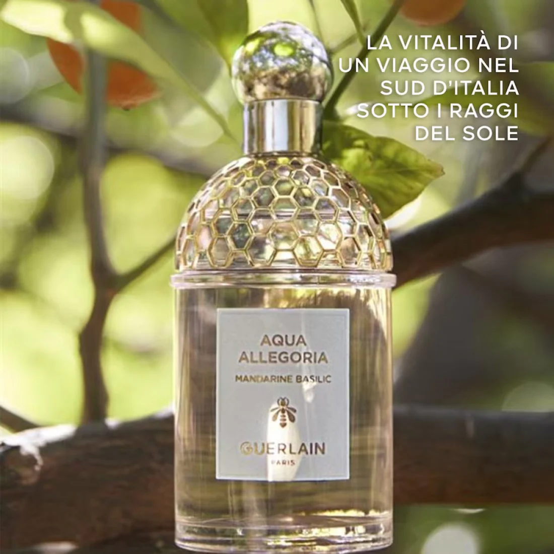 Aqua Allegoria Mandarine Basilic Eau De Toilette - Image 3
