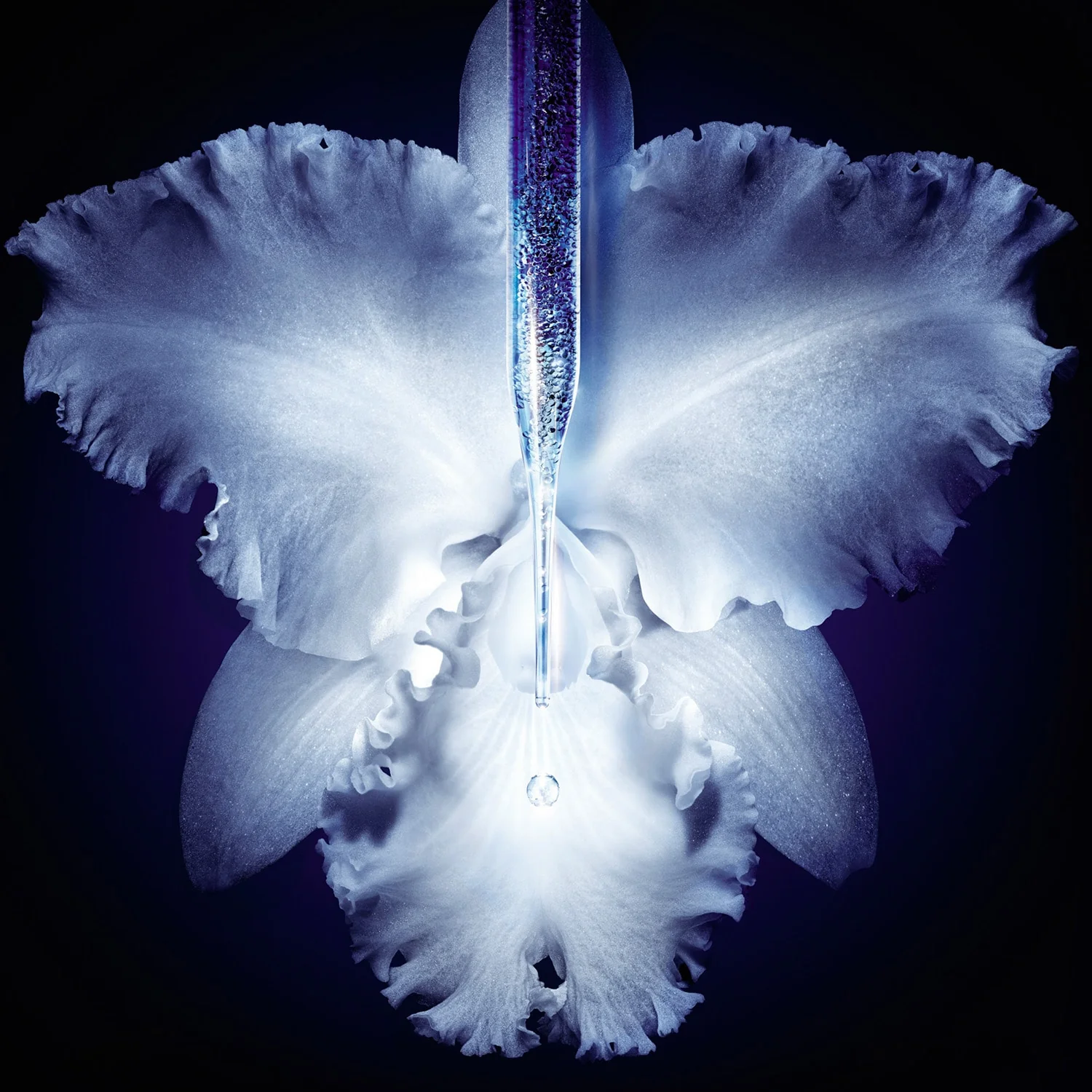 Orchidée Impériale Le Concentré Micro-Lift Siero a Tripla Azione Rigenerante - Image 5