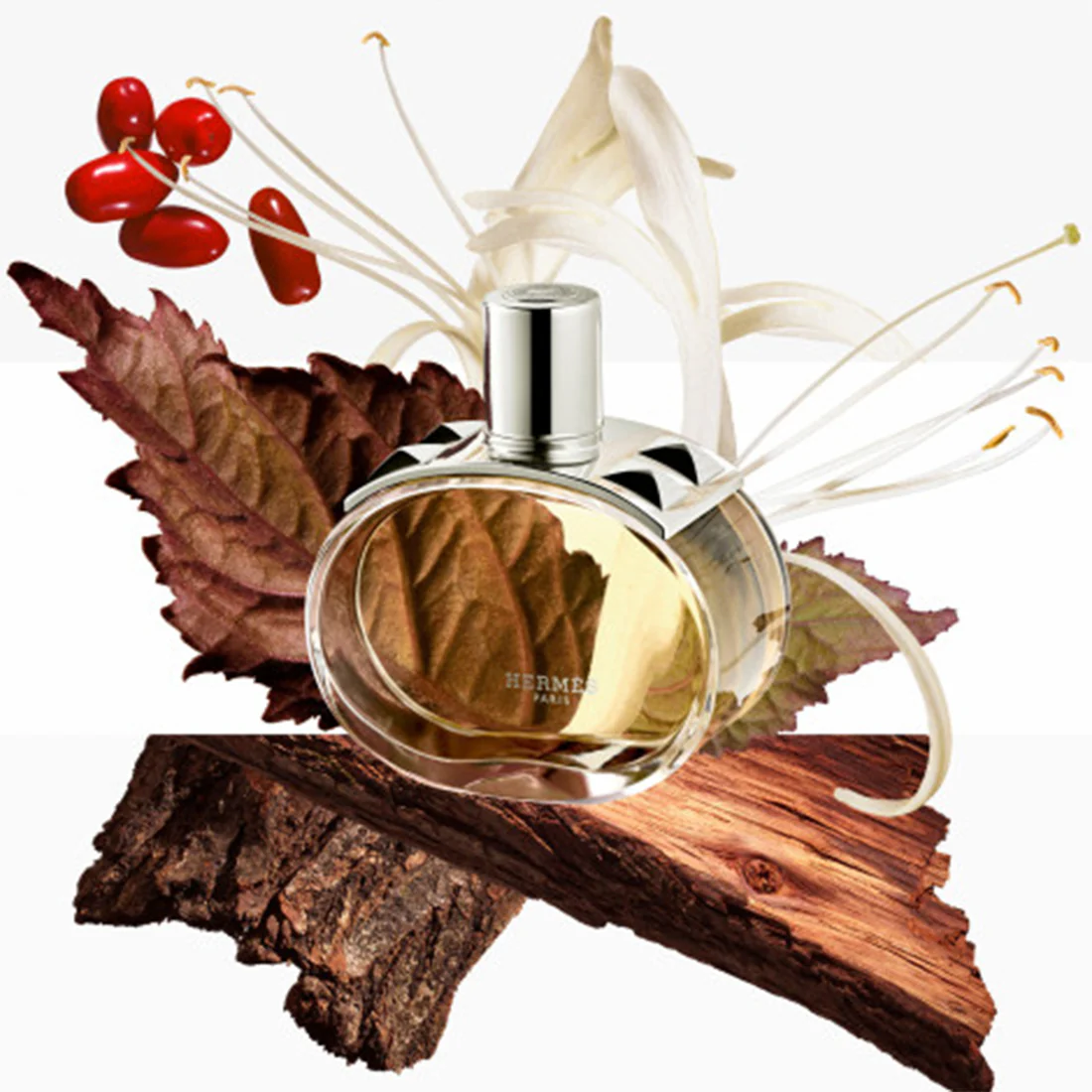 Barenia Eau De Parfum - Image 4