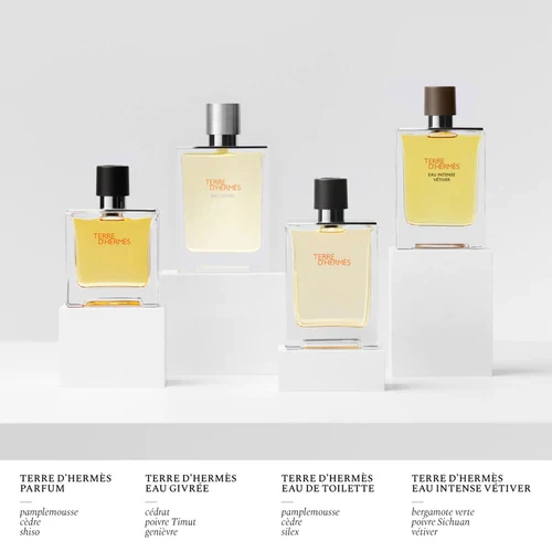 Terre D'Hermes Eau Givrèe Eau De Parfum - Image 14
