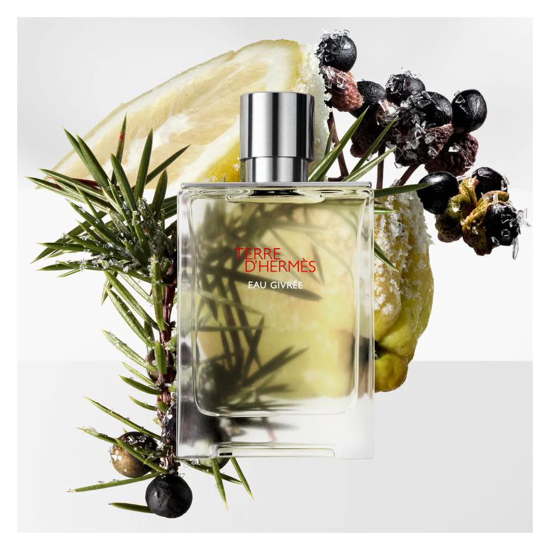 Terre D'Hermes Eau Givrèe Eau De Parfum - Image 17