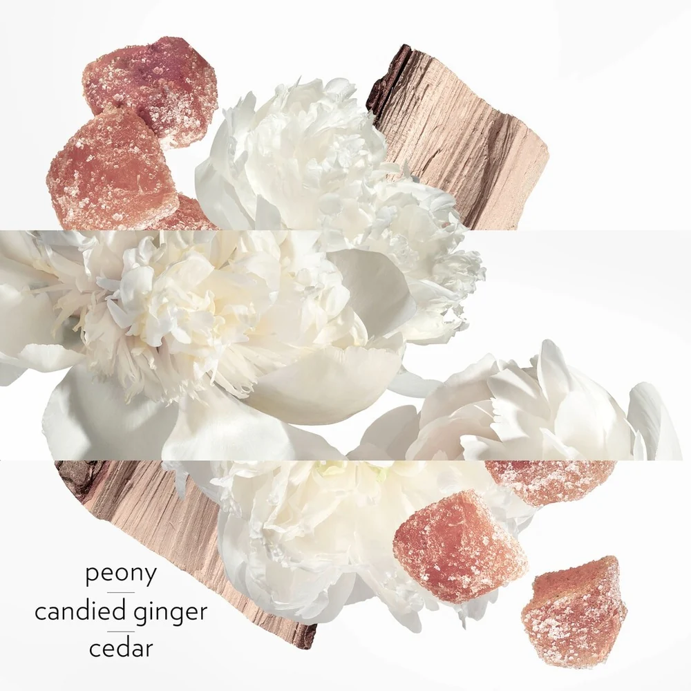 Twilly D'Hermes Eau Ginger Eau De Parfum - Image 4