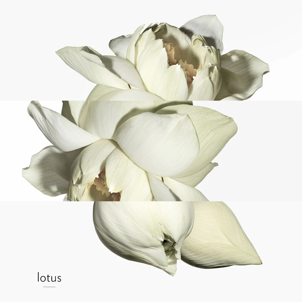 Un Jardin Sur Le Nil Eau De Toilette - Image 12