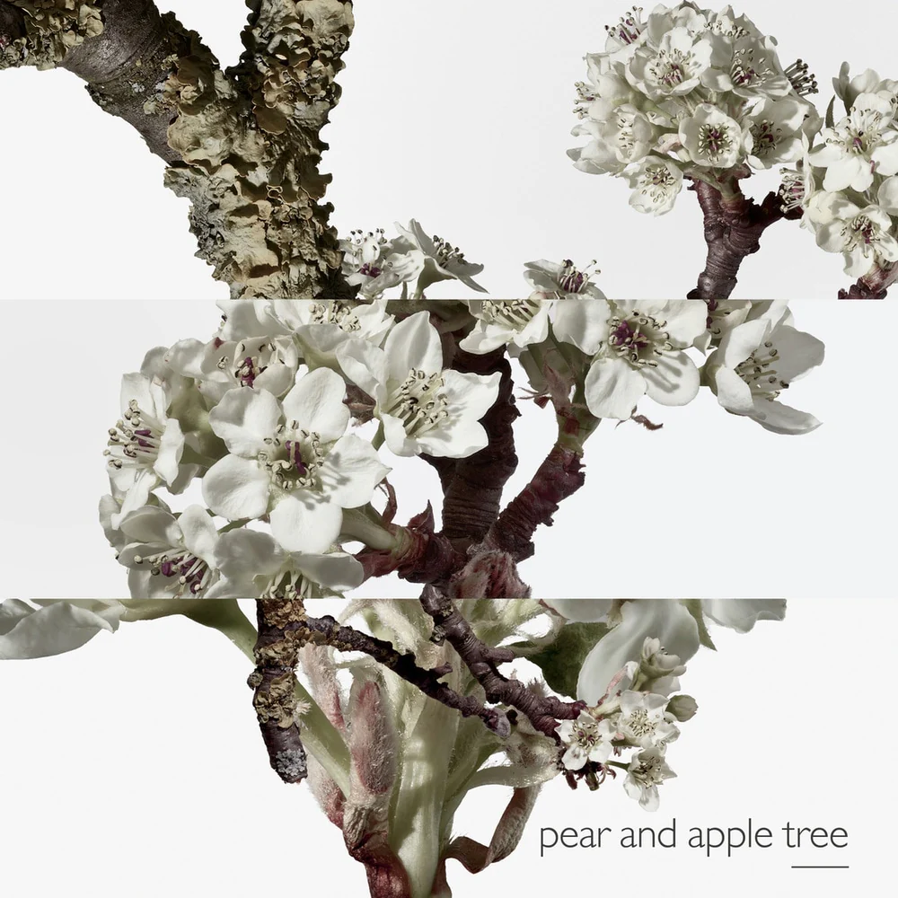 Un Jardin Sur Le Toit Eau De Toilette - Image 12