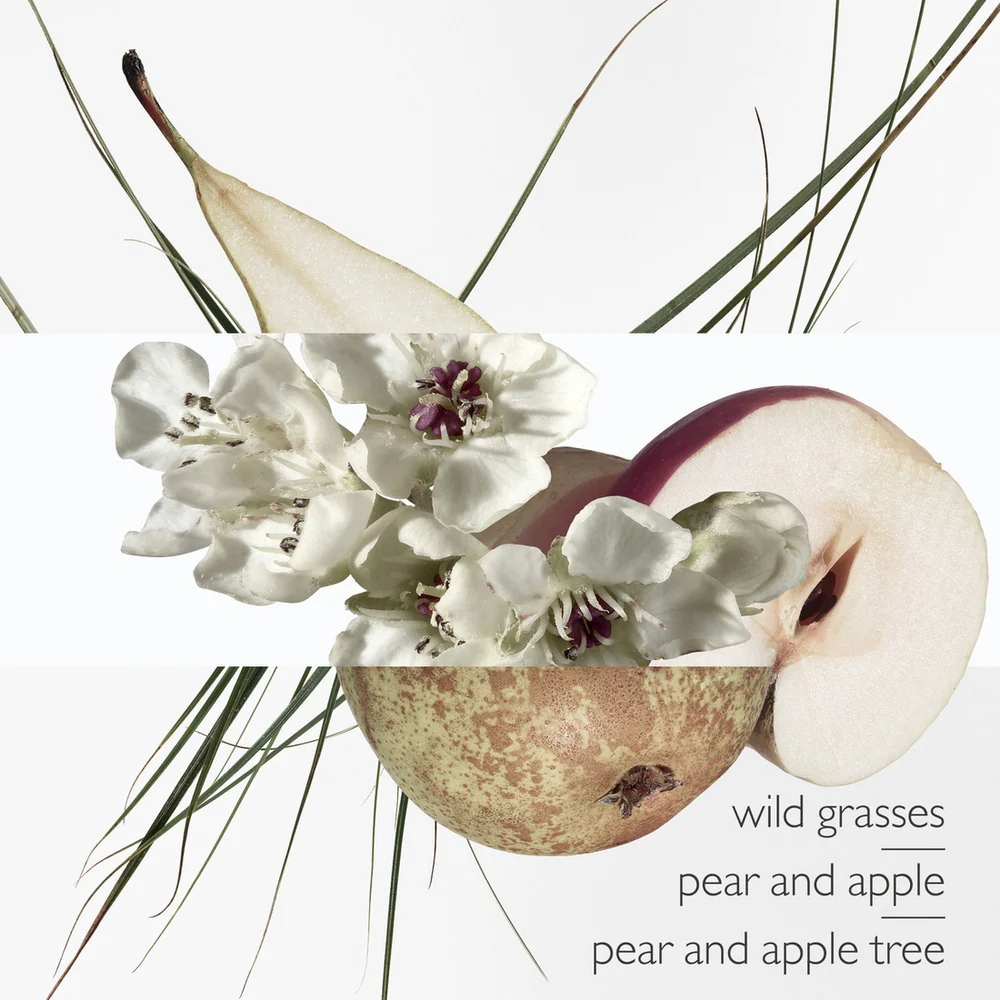 Un Jardin Sur Le Toit Eau De Toilette - Image 3