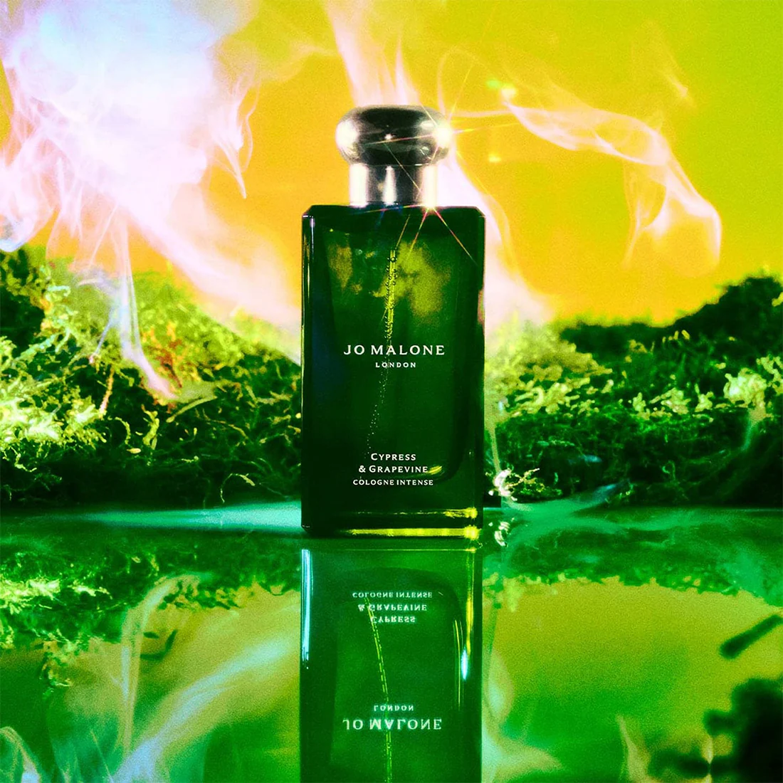 Cypress & Grapevine Cologne Intense - Image 4