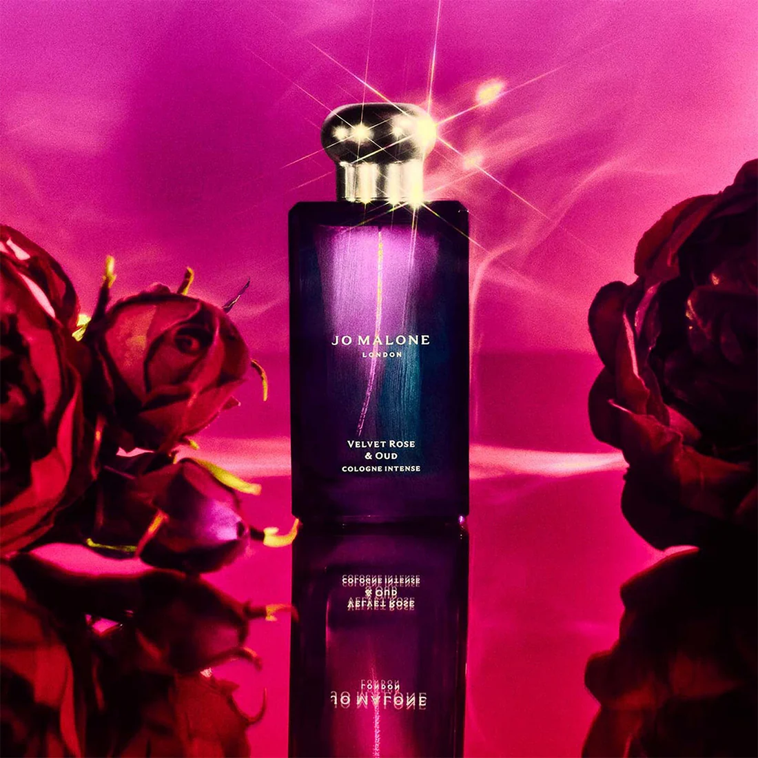 Velvet Rose & Oud Cologne Intense - Image 4