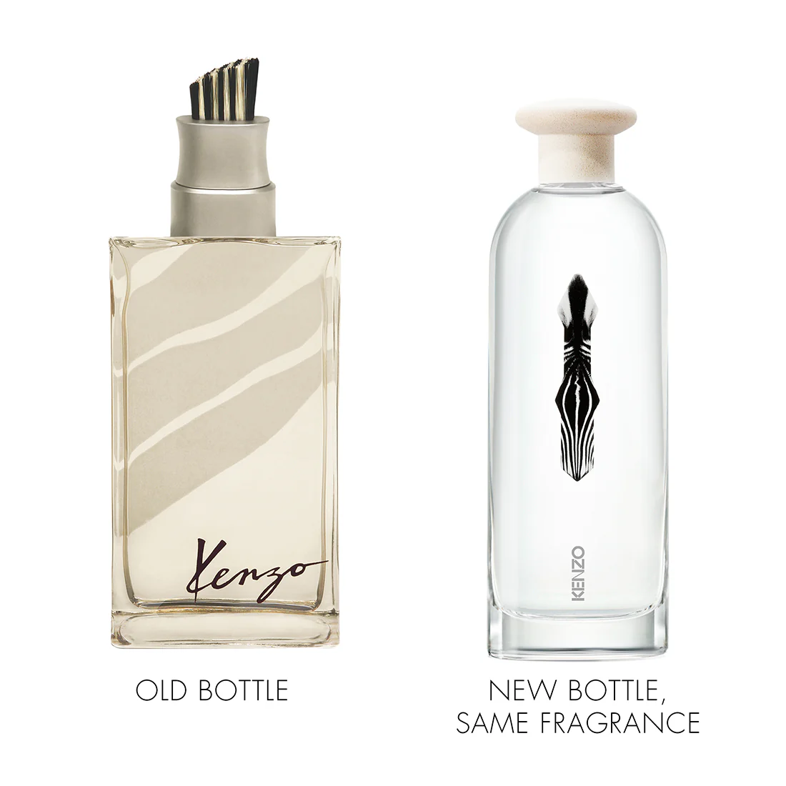 Jungle Homme Eau De Toilette - Image 3
