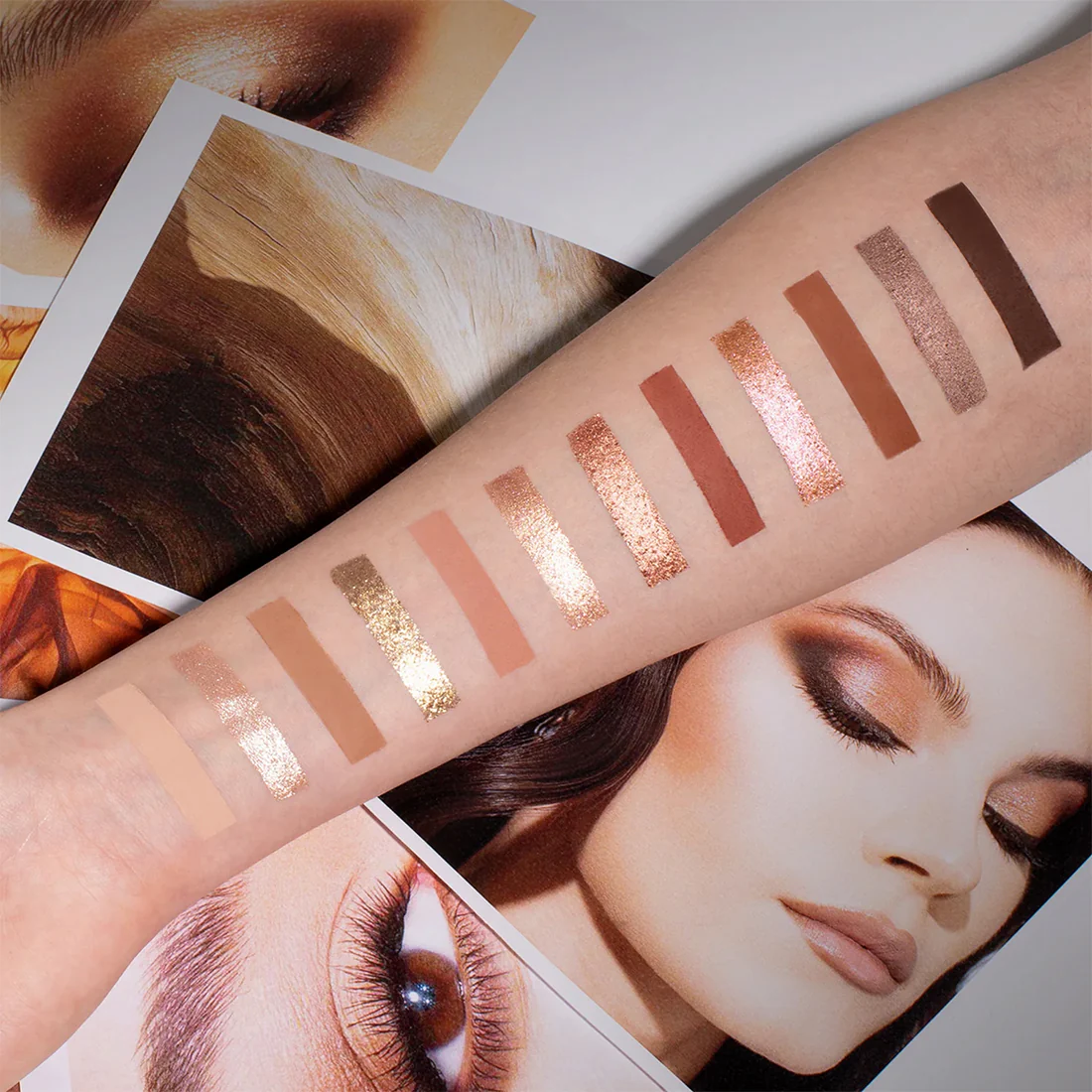 Palette Archetype II - Image 3