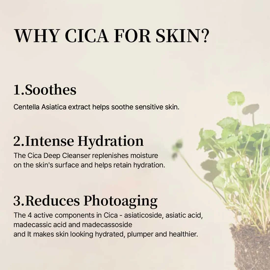Soondy Centella Asiatica Essence Siero Viso Idratante Anti imperfezioni - Image 2