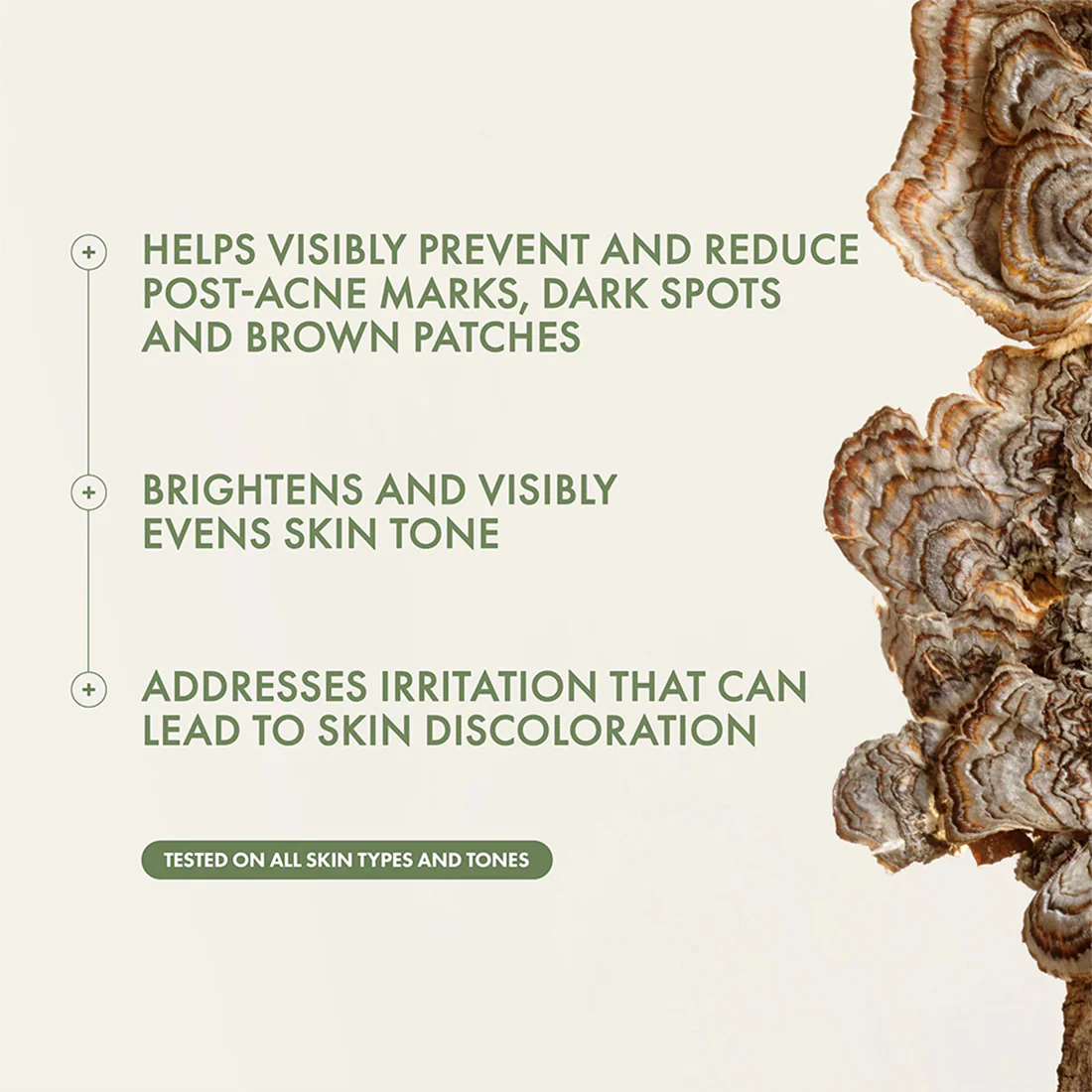 Mega Mushroom Dark Spot Corrector Serum Siero Viso Antimacchie - Image 4